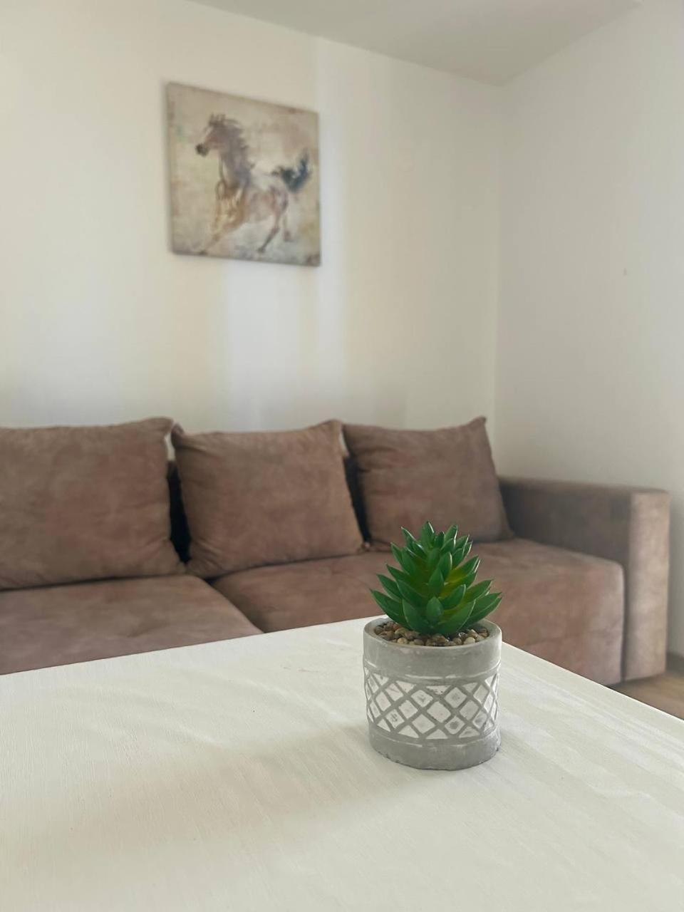 Apartmani Stari Grad Sutomore Exterior photo